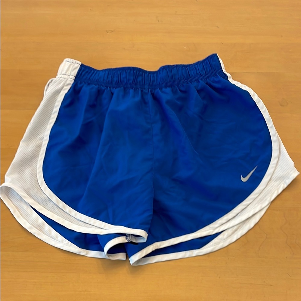 Nike Dri-Fit Blue and White Athletic Shorts with Moisture-Wicking Fabric